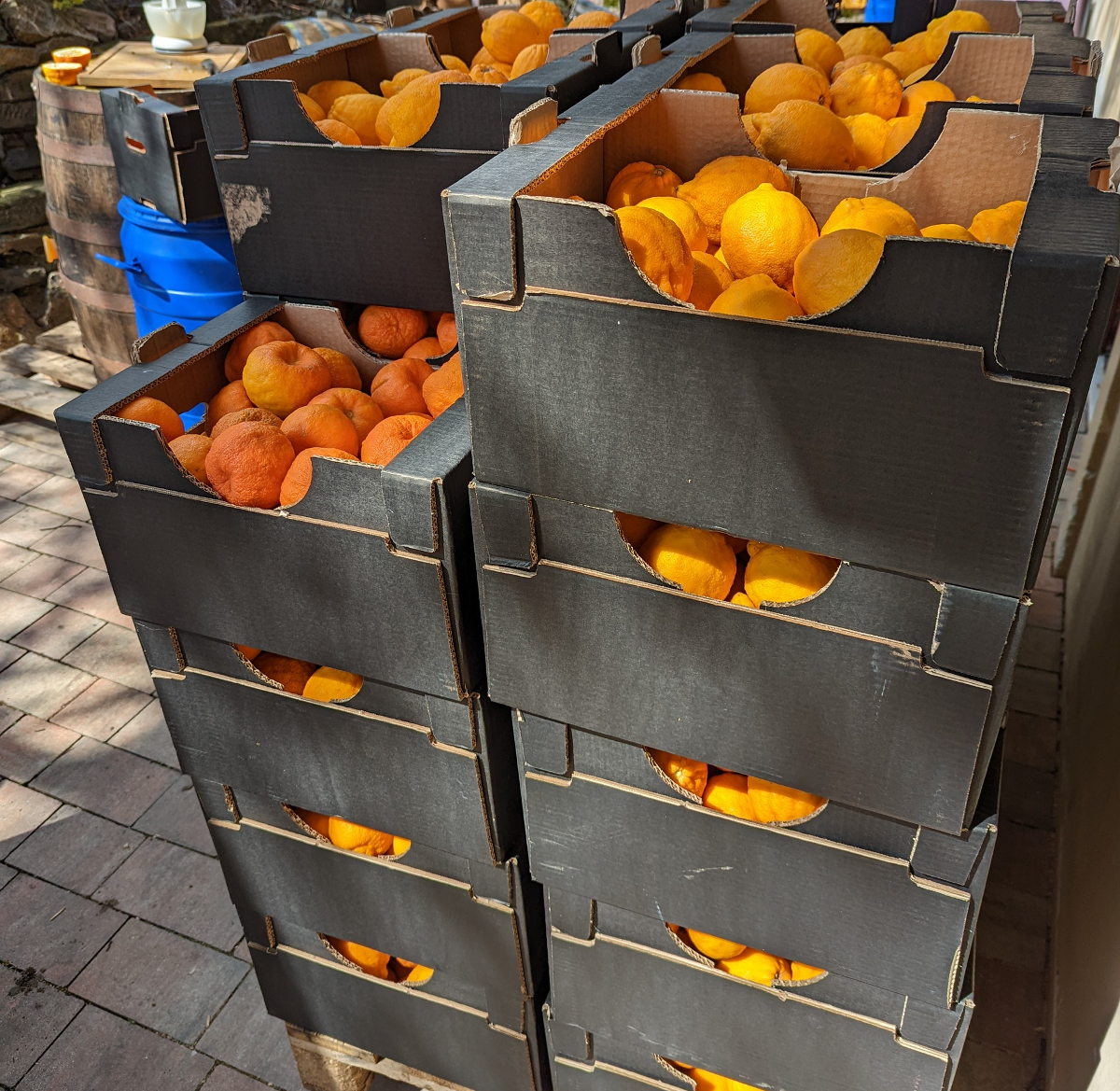 CHVÁLÍME TĚ, BERGAMOTE!