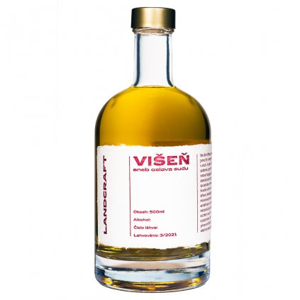 Untitled 1 0007 Copy of C3A5268 VISEN.png