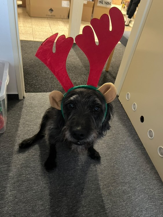 LANIGA ohlédnutí za rokem 2025