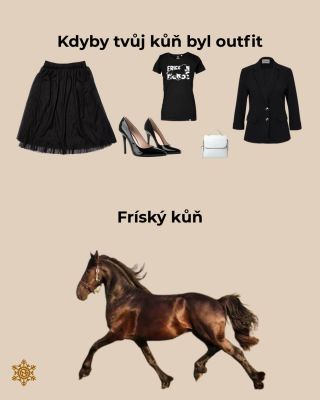 Obleč se podle svého koně !🤩 Který je ten tvůj?🤔 Všechna plemena najdeš na našich stránkach Laniga.cz #ostrava...