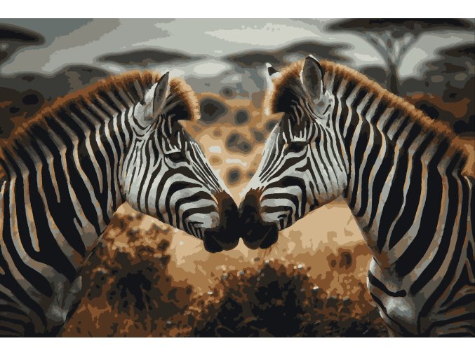 Zebry vymalovane