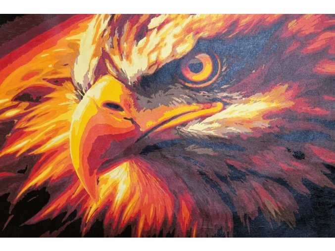 Fénix - vymalovaný obraz
