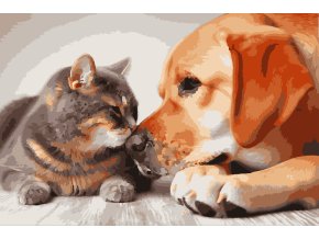 Labrador a kocka vymalovany 19 barev