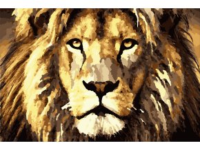 Lev vymalovany 20barev