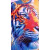 Tygr - vymalovaný obraz