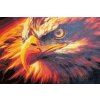 Fénix - vymalovaný obraz