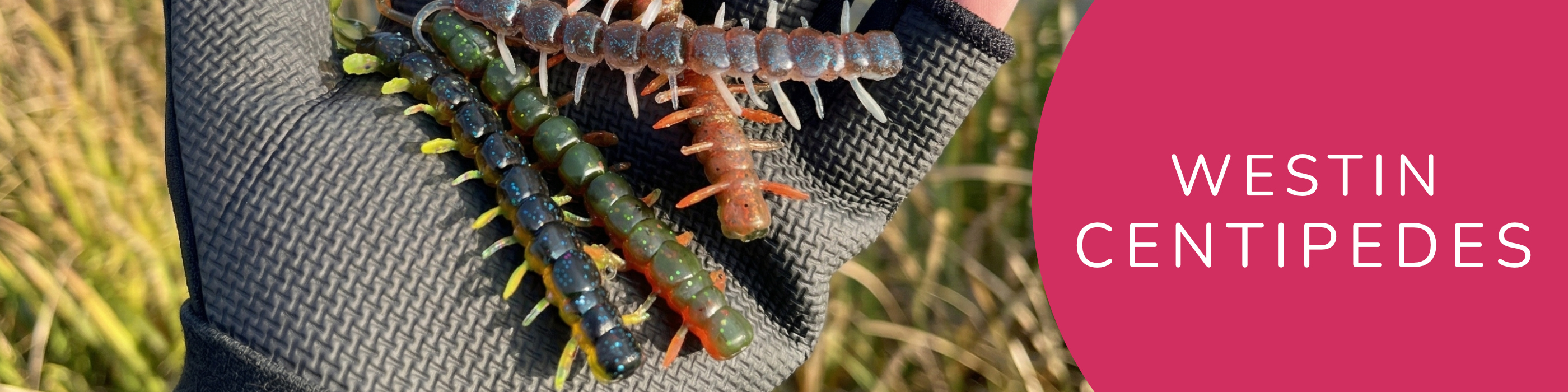 Centipedes