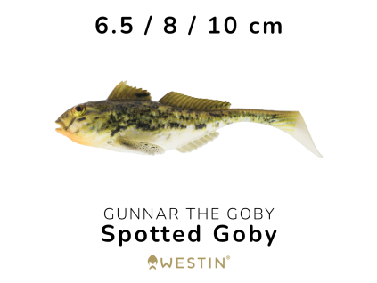goby 4