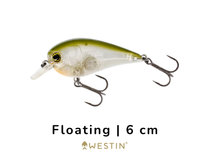 bass 6