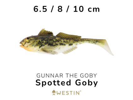 goby 4