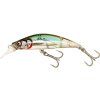 Rushbait - Sweetspot (Veľkosť nástrahy 10 cm / 52 g / 100 EFS)