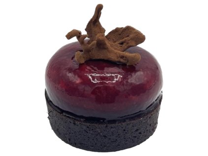 PhotoRoom 20231120 213103