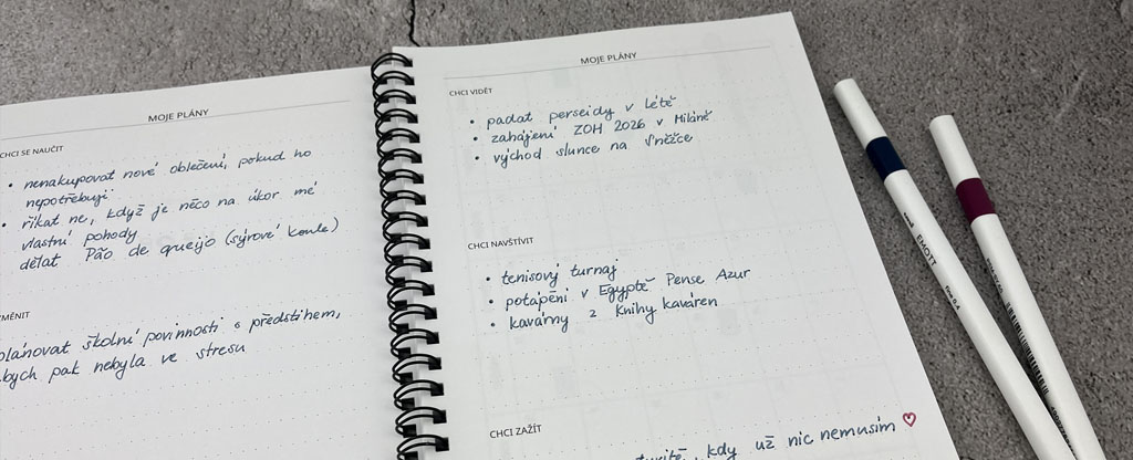 Plánování cílů do nového diáře | La Pegatina