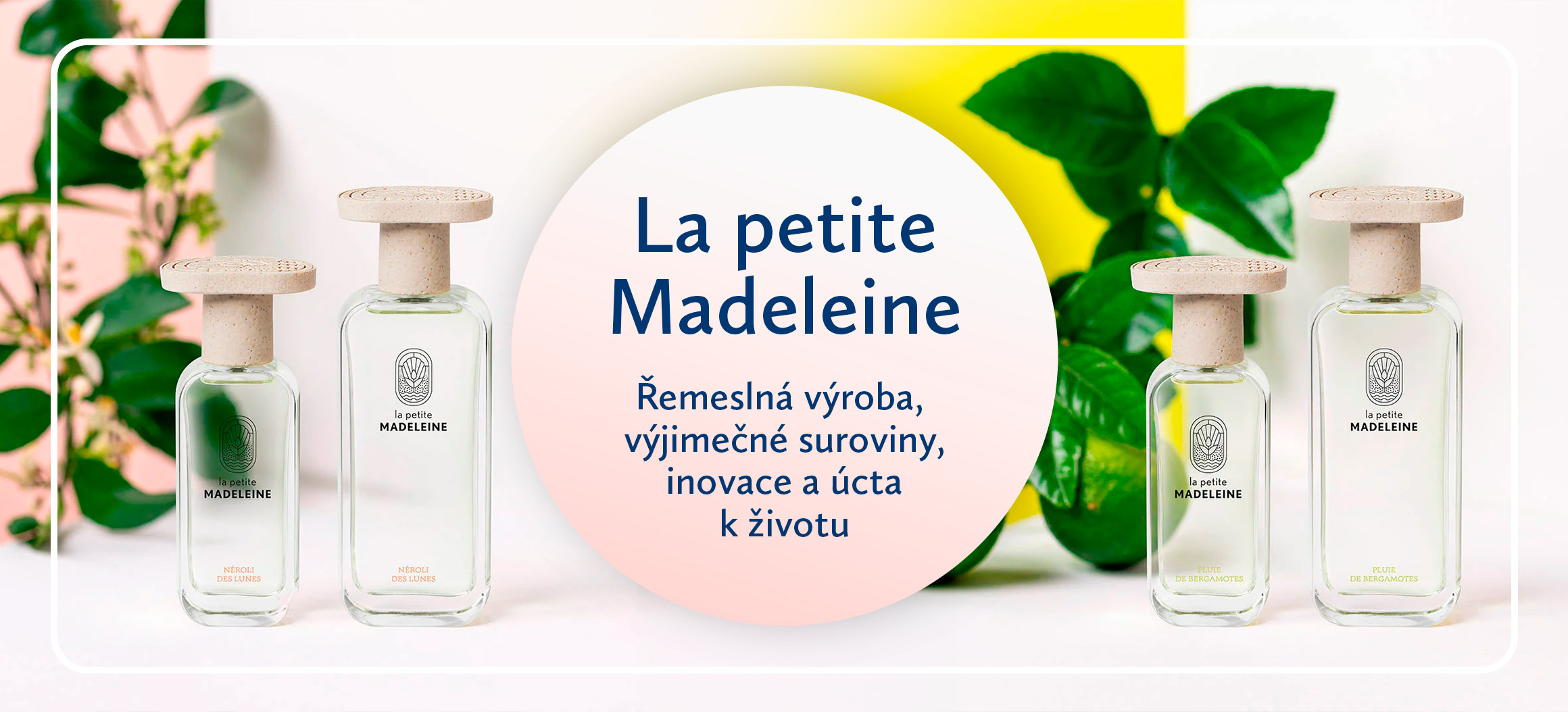 La Petite Madeleine - desktop