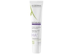 a derma Epitheliale
