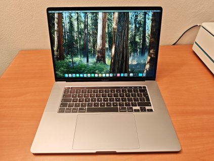 Apple MacBook Pro 16" 2019 64GB RAM