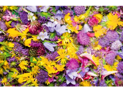 3289|||crushed_petals.jpg