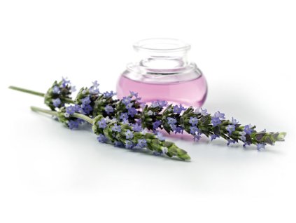 3279|||Lavender-Fields-Fragrance-Scent-Diffusion-800px.jpg