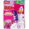 32914|||duck_melon.jpg