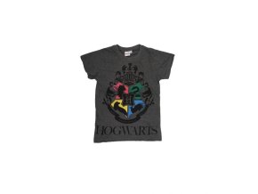 508957488 10222900250773903 8345981401658124574 n