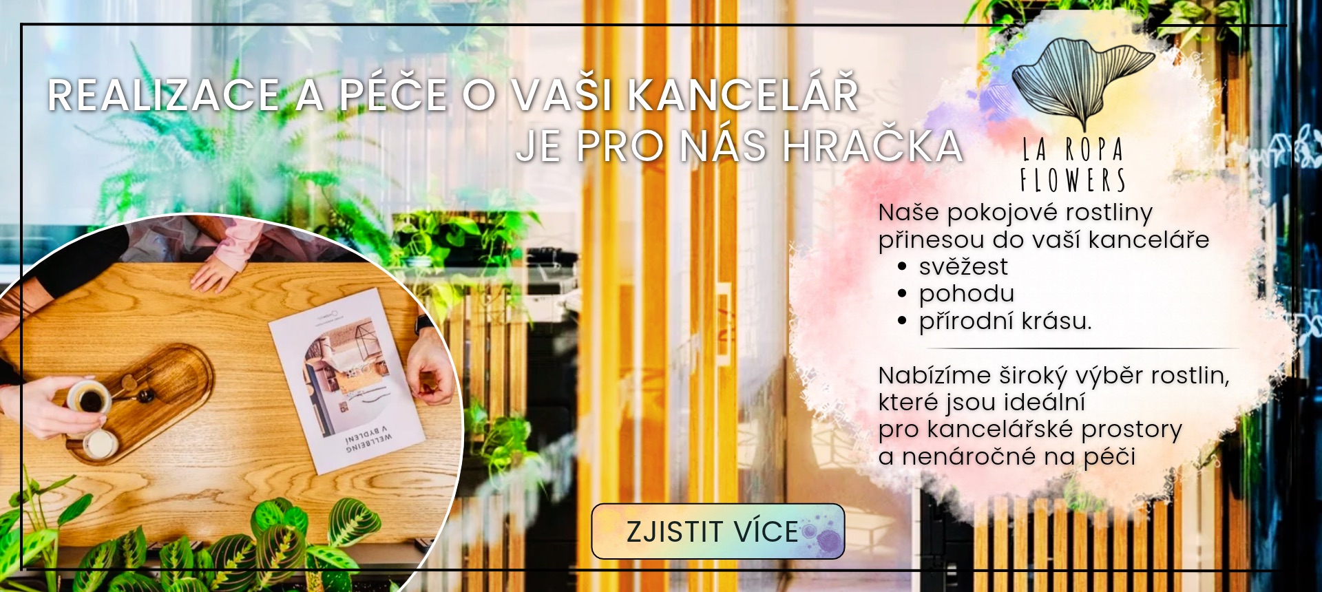 Květinové realizace pro kanceláře