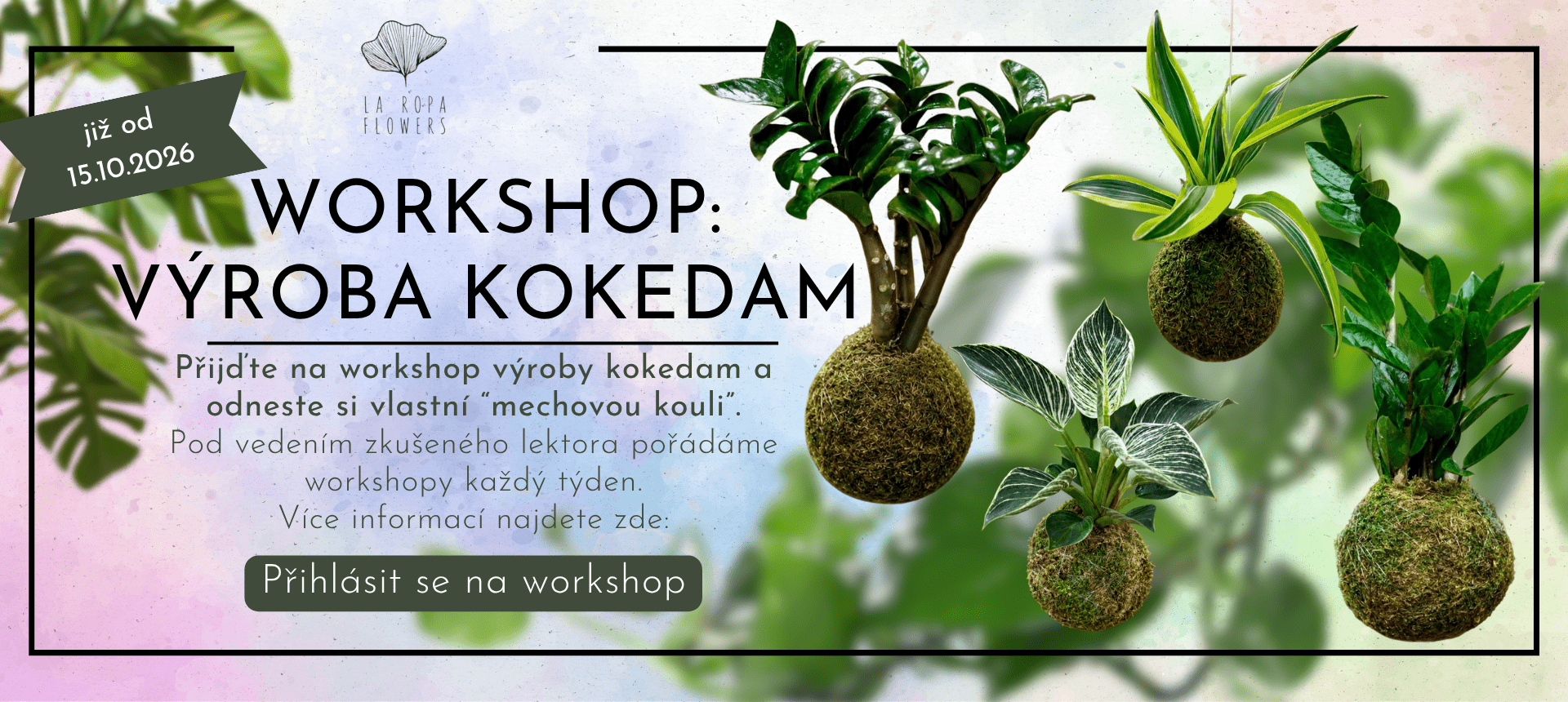 Workshop
