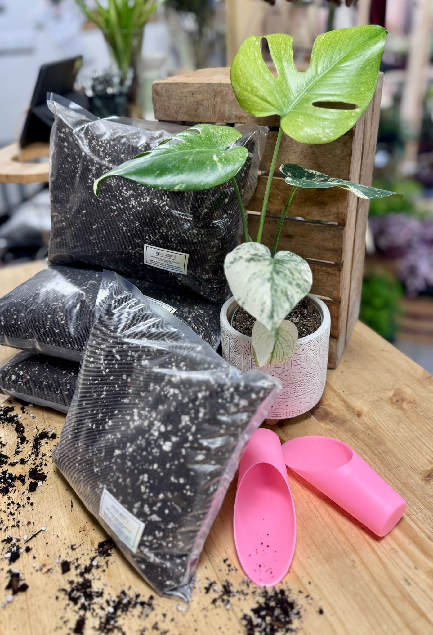 Kompletní realizace svateb