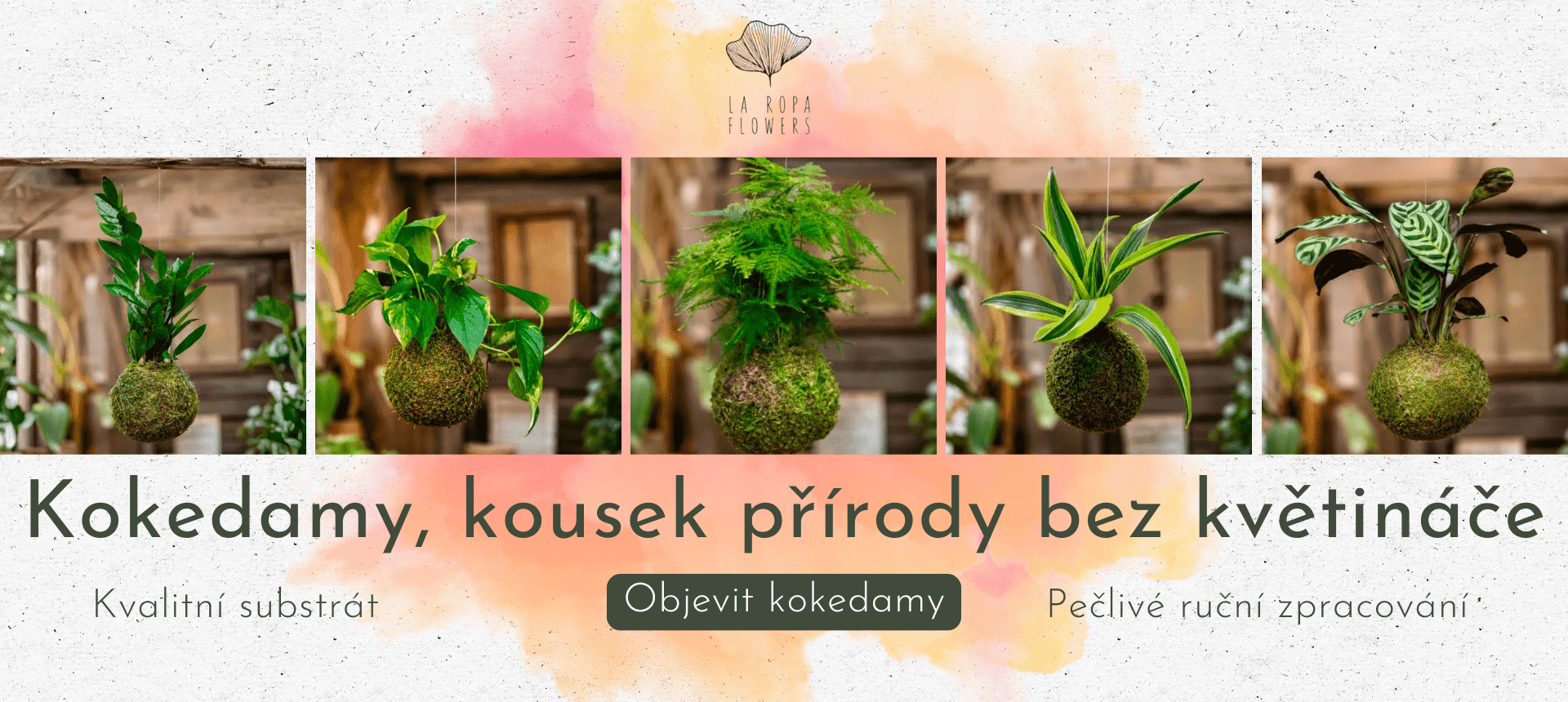 Kokedamy