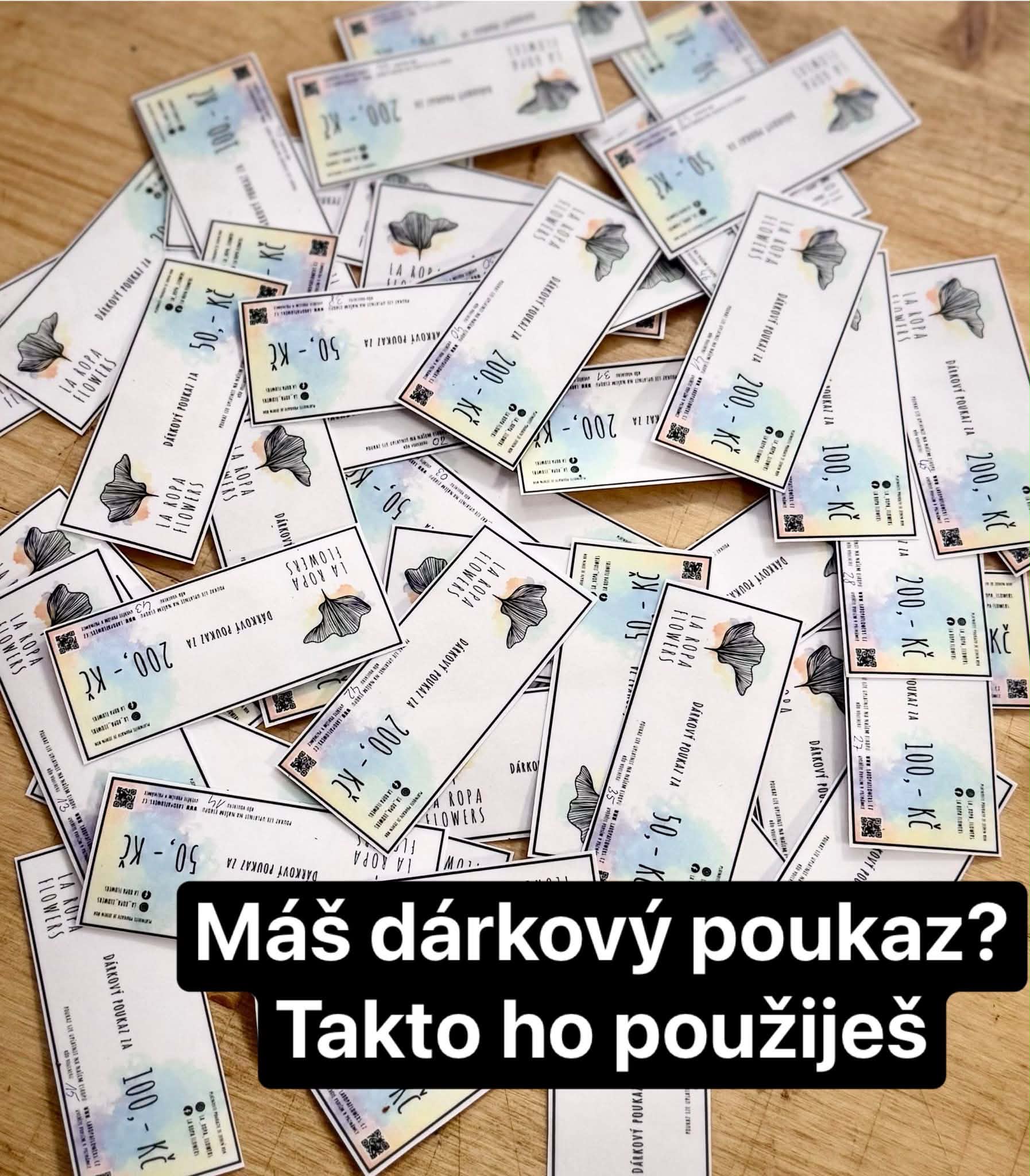 Kurz výroby kokedam a mechových obrazů