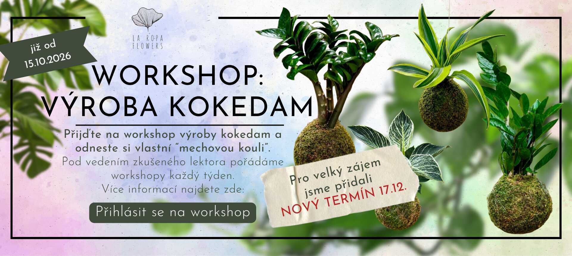 Workshop