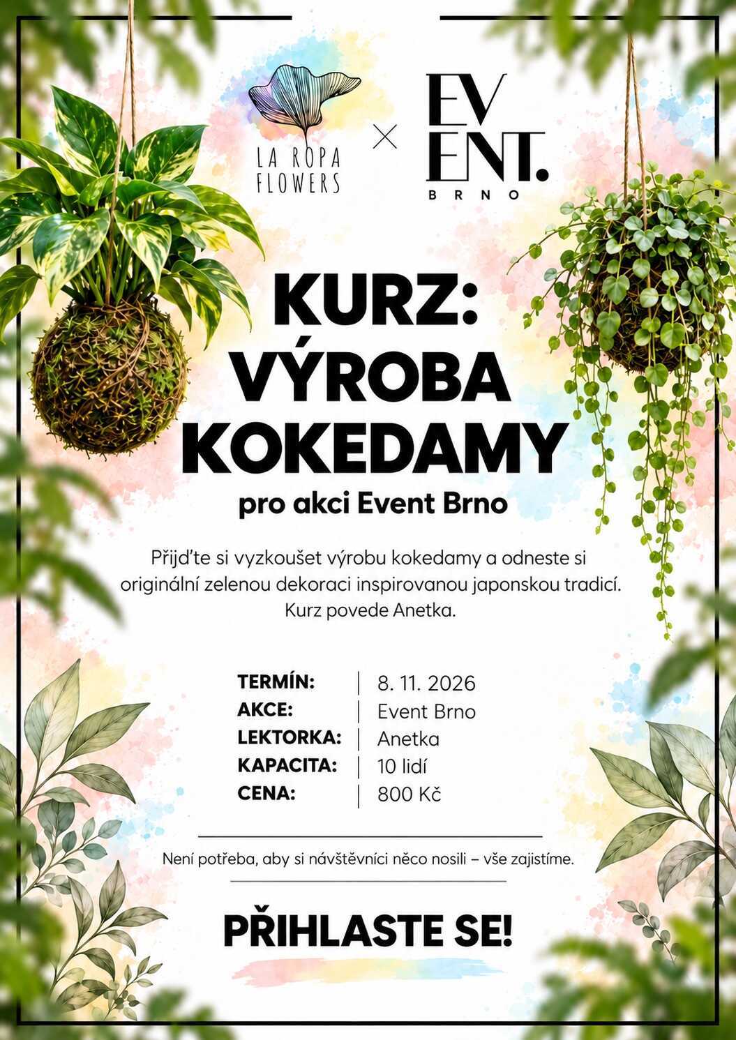 Kurz výroby kokedam – Event Brno, La Ropa Flowers