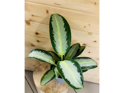 baee5a74 a2d5 4360 a9e8 c90ab0f8f8d3