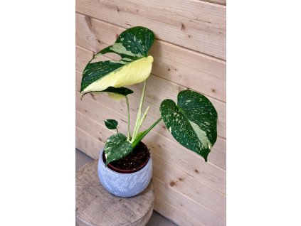 ChatGPT Image 9. 1. 2026 22 42 06