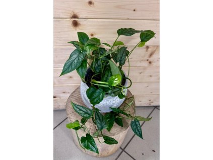 aa13c66f 11a2 4a7e ab4f 0fc25a4aeb54