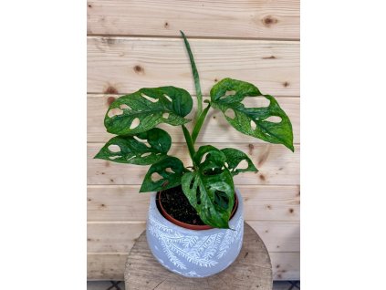 WhatsApp Image 2026 01 08 at 19.04.28