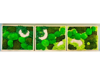 Set 3x  40x50 Cm