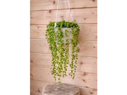 15ba8c3e 5d09 42f7 a820 e7d90bfadda6