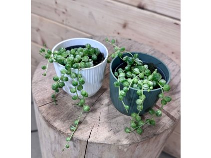 55fbda39 323c 4484 bc87 3d5b2be0745a