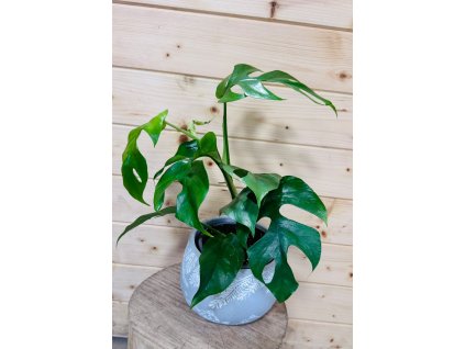 e70dadde 257b 4a67 abae b9f280cf9a39