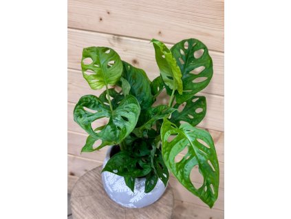 faf4739d 3d1c 47ce a4a2 a73b9757fba1