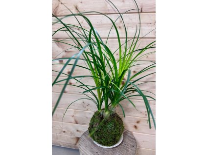 e2140970 9426 439c b1f1 8e1ebf8246a7