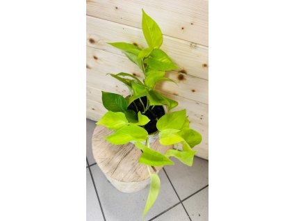 WhatsApp Image 2025 09 02 at 16.13.50