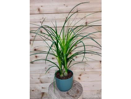 947d15c6 c712 4bdc a6ef 5830b7682b6a