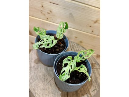 WhatsApp Image 2025 12 03 at 18.16.13