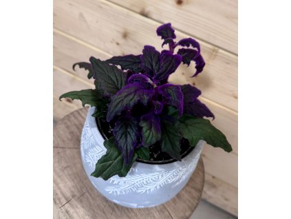 2bfb649a eaf6 4130 acd1 ce214fddb0e7