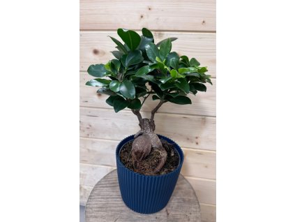 61a15c65 fc61 4c6d a96d e3ebcc33ec0a