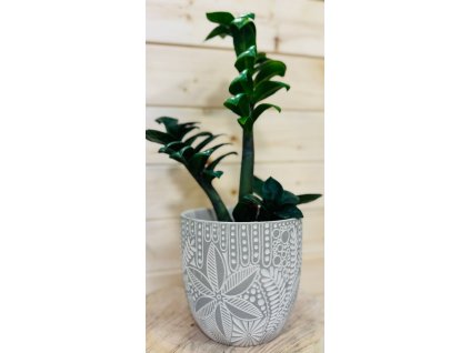 WhatsApp Image 2025 08 21 at 14.16.04 (1)