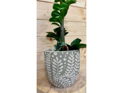 WhatsApp Image 2025 08 21 at 14.16.04