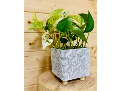 WhatsApp Image 2025 08 21 at 14.19.29