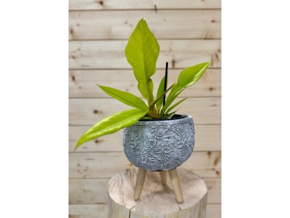 WhatsApp Image 2025 08 21 at 20.40.08